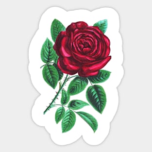 Vintage Rose Sticker